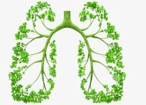 Tư vấn và đào tạo tiêu chuẩn ISO 13845