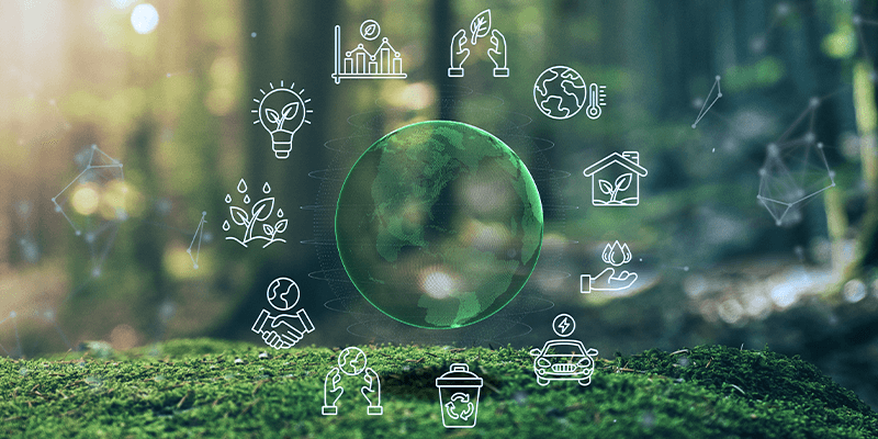 Tư vấn và đào tạo tiêu chuẩn trang trại giống BAP (Hatchery Standard)