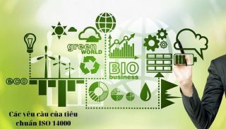 Tư vấn, đào tạo ISO 14021 Nhãn và Công bố Môi trường – Tự Công bố về Môi trường (Ghi nhãn Môi trường Loại II)